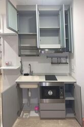 Parc Elegance (D15), Apartment #545950281